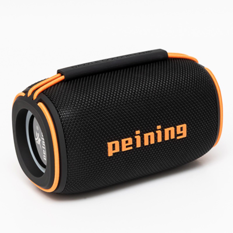 CAIXA DE SOM PEINING 15W